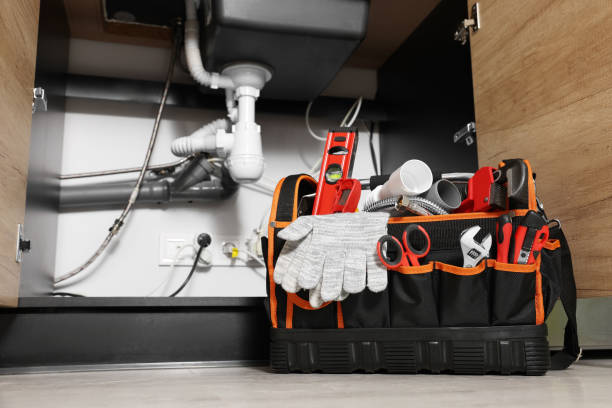 Best Plumbing Inspection Services  in Sun Lakes, AZ