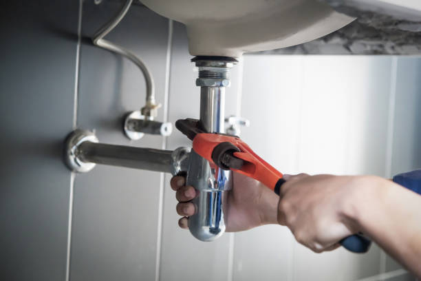 Best Commercial Plumbing Services  in Sun Lakes, AZ